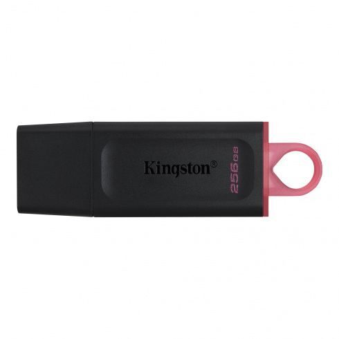 USB-накопитель Kingston DTX/256GB 256GB Чёрный